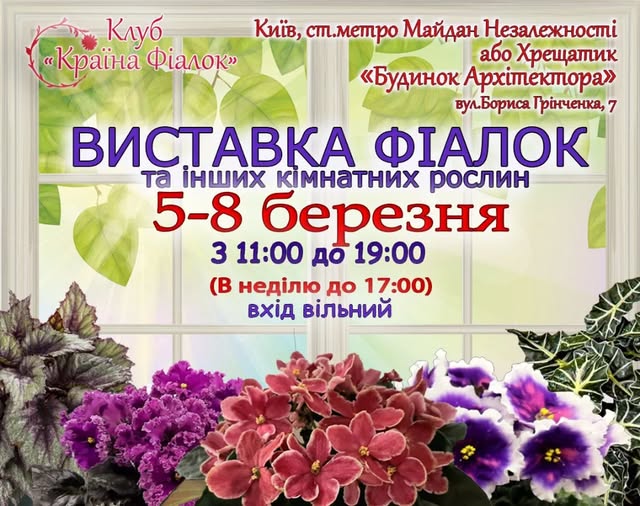 виставка фіалок Київ 2026 рік.jpg