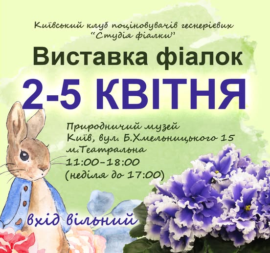виставка фіалок 2026 київ.jpg