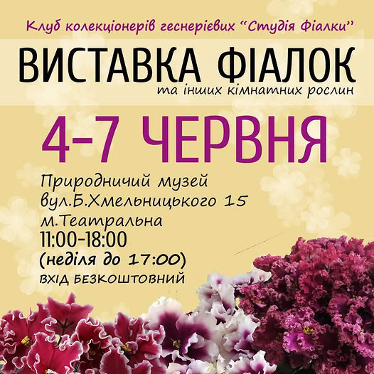 виставка фіалок київ 2026 року.jpg