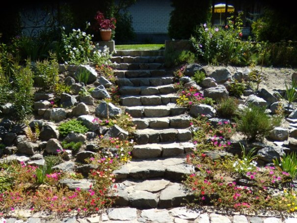 DSCN5183-2.JPG