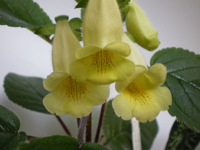 PB170037.jpg
