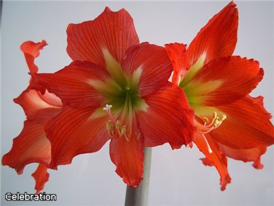 ab15a41dcee7.jpg