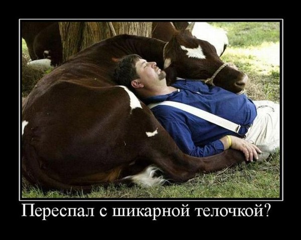 переспал с тёлочкой.jpg