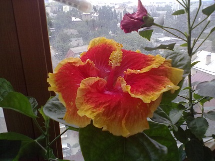 100820122731.jpg