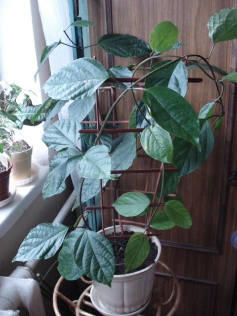 DSC09981.JPG