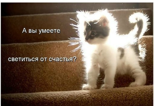x_5eae10.jpg