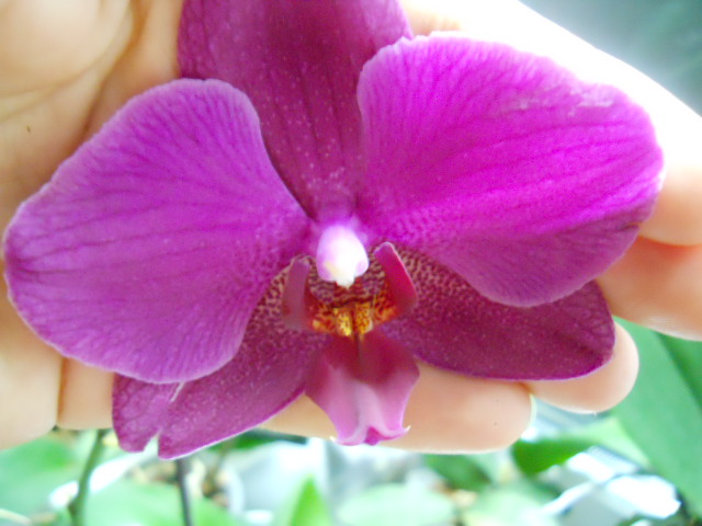 DSCN3757.jpg