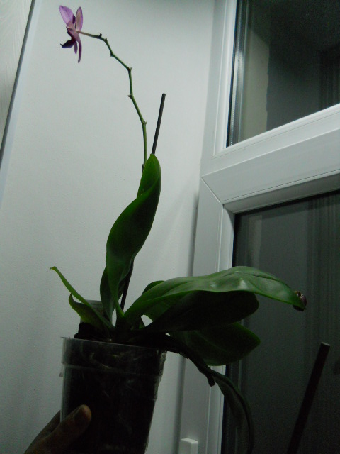 DSCN3749.jpg