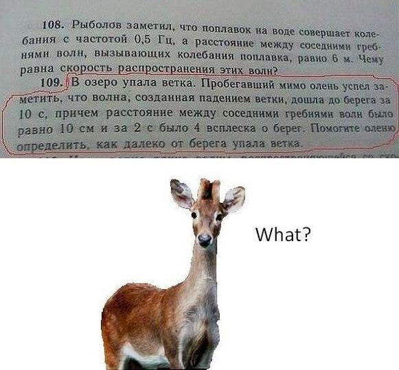 олень.jpg