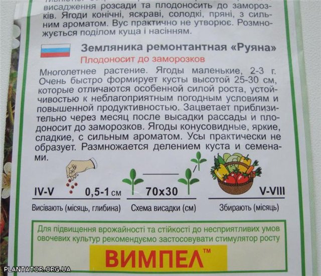 семена земляники.jpg