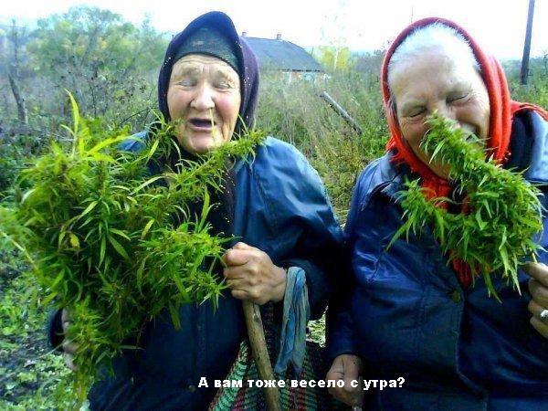 весело.jpg