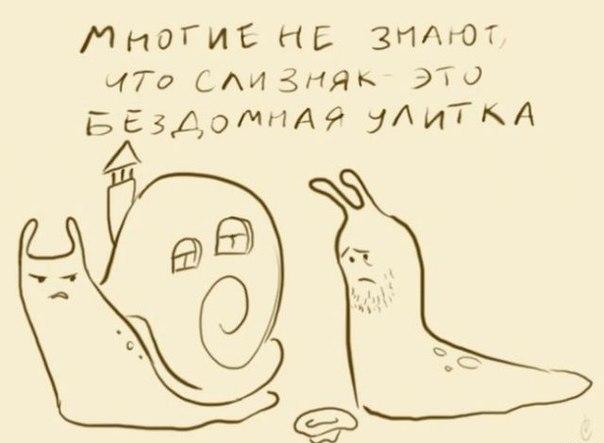 улитка.jpg