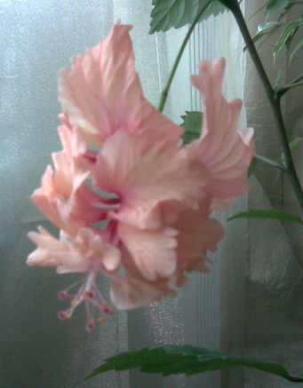 Image063.jpg