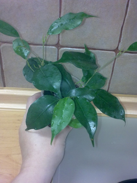 11102012371.jpg