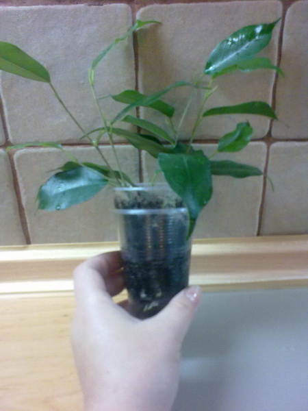 11102012372.jpg
