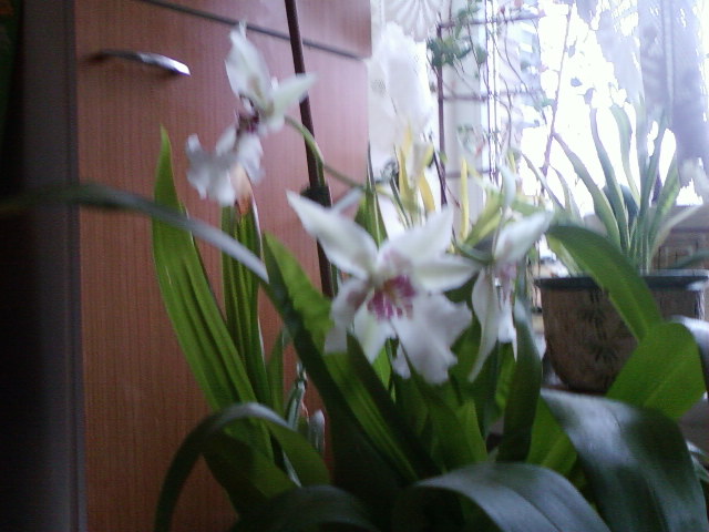 30.11.2010  10.49.jpg