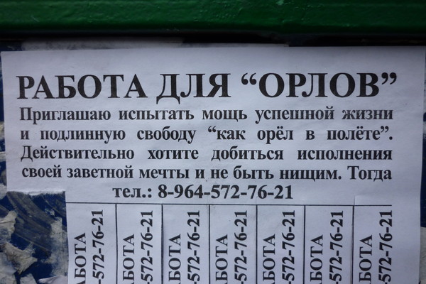 работа.jpg