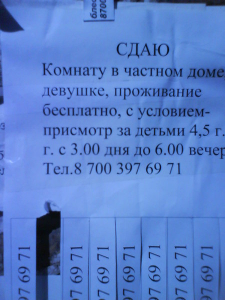 сдаю комнату.jpg