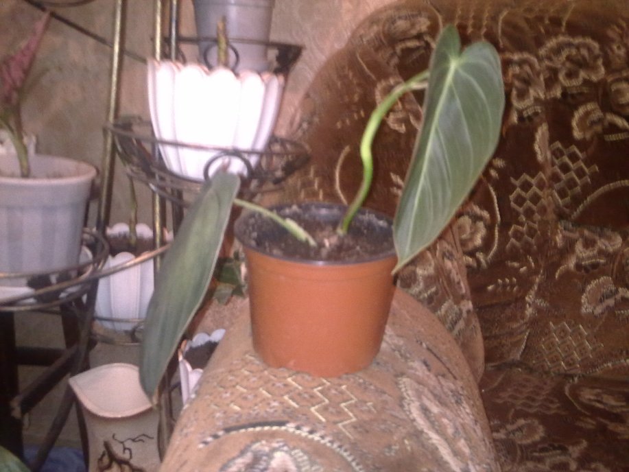 191020122206.jpg