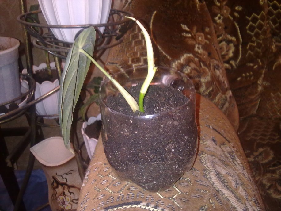 191020122211.jpg