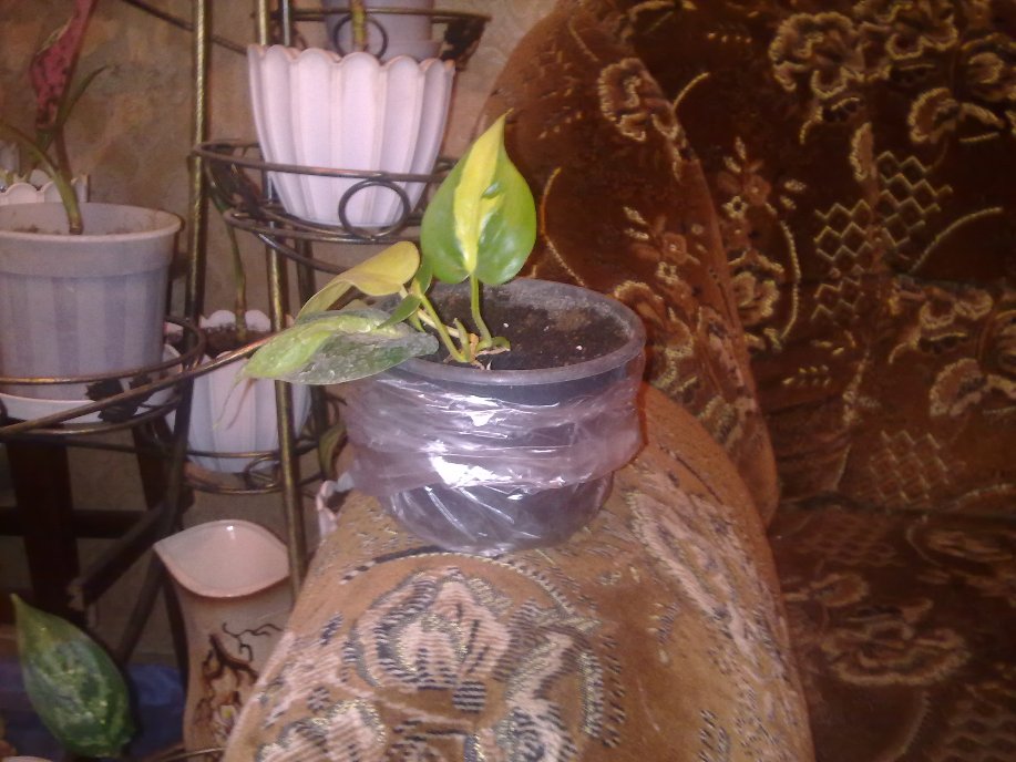191020122207.jpg