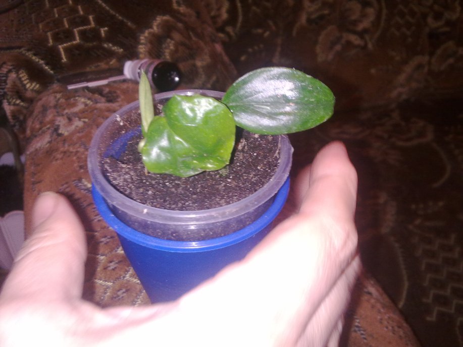 191020122210.jpg
