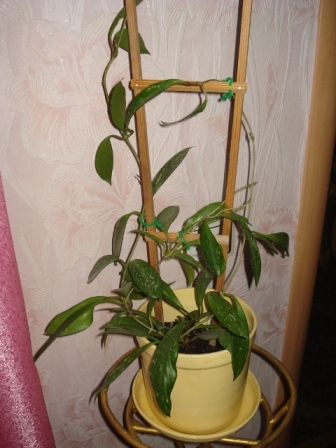 DSC09977.JPG