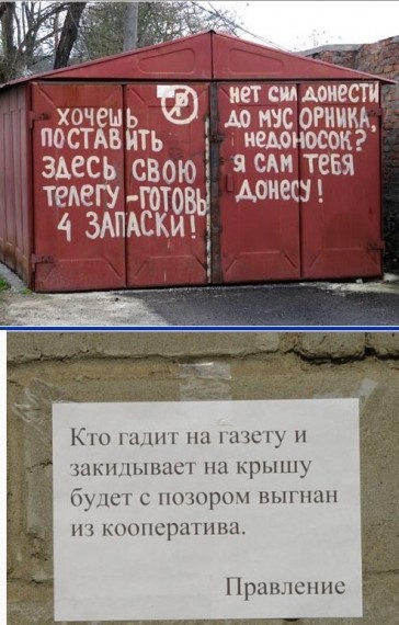 телега.jpg