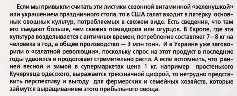 салат.jpg