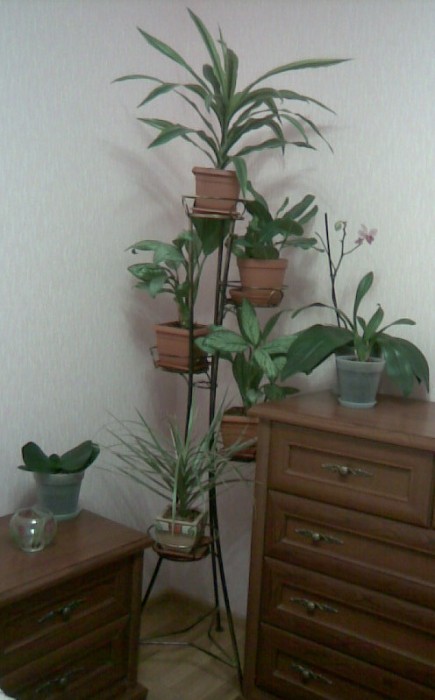 Image001.jpg