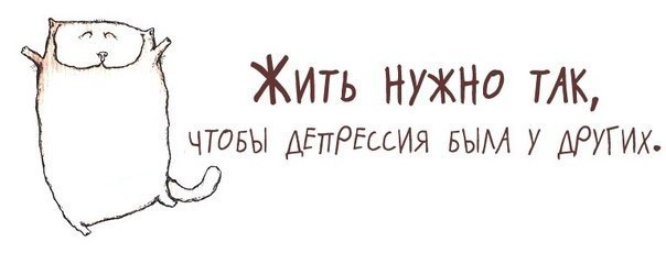 0ys.jpg