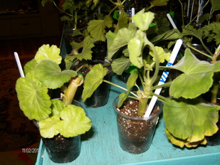 img_ 067_resize.jpg