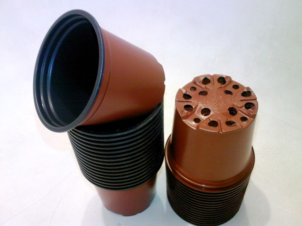 SP_A7612.jpg