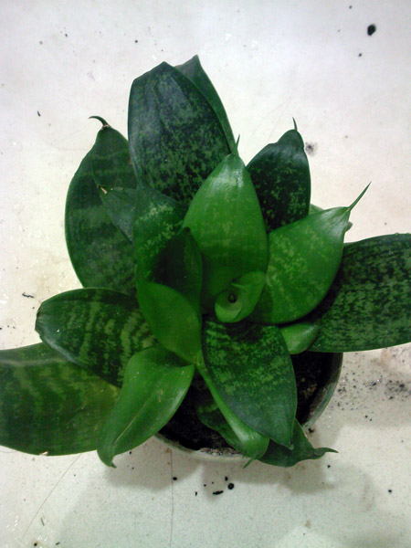 SP_A7598.jpg