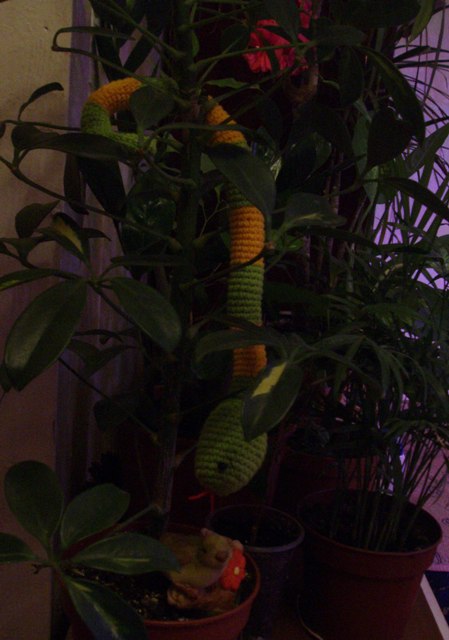 P1010051.JPG