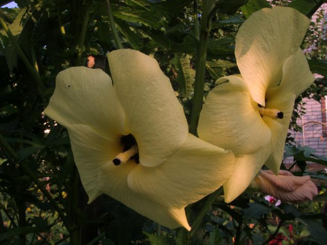 S73F5015.jpg