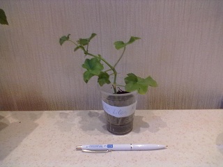 04112012336.jpg