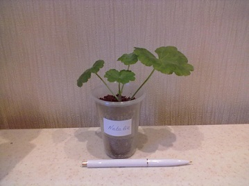 04112012335.jpg