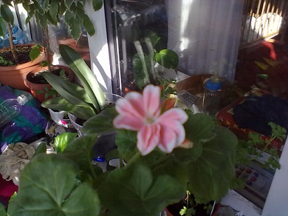 02072012264.jpg