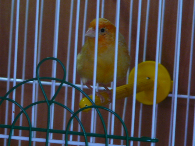 P1090541.JPG