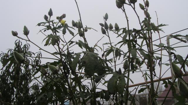 S73F5662.jpg