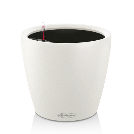 classico_color_white.png