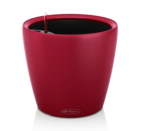 classico_color_red.jpg
