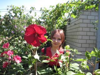 IMG_3366.jpg
