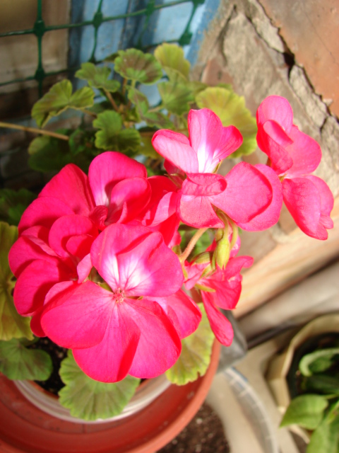 DSC00961.JPG