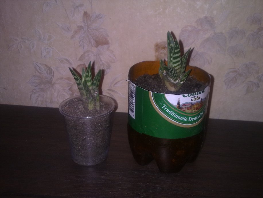 151120122230.jpg