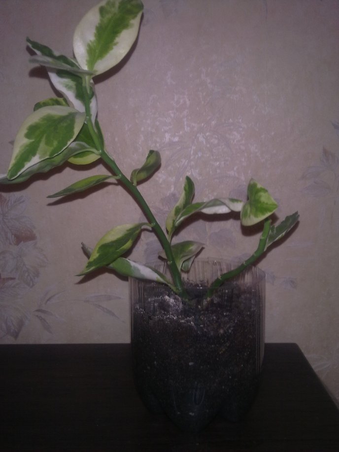 151120122234.jpg