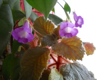 DSCN3191.jpg