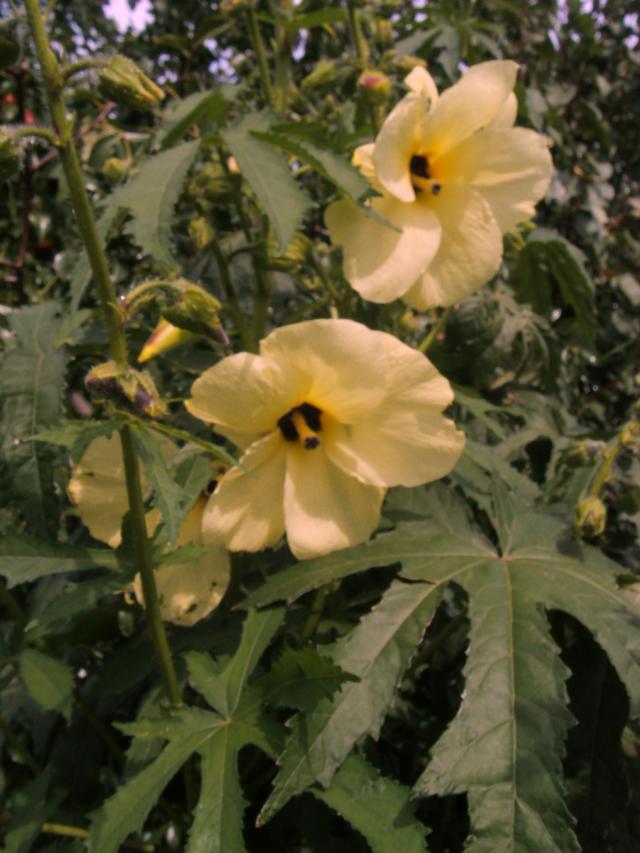 S73F5412.jpg