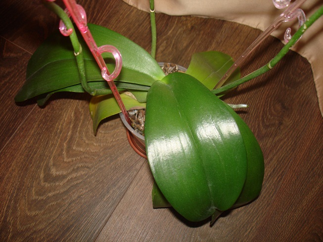 DSC00064.JPG